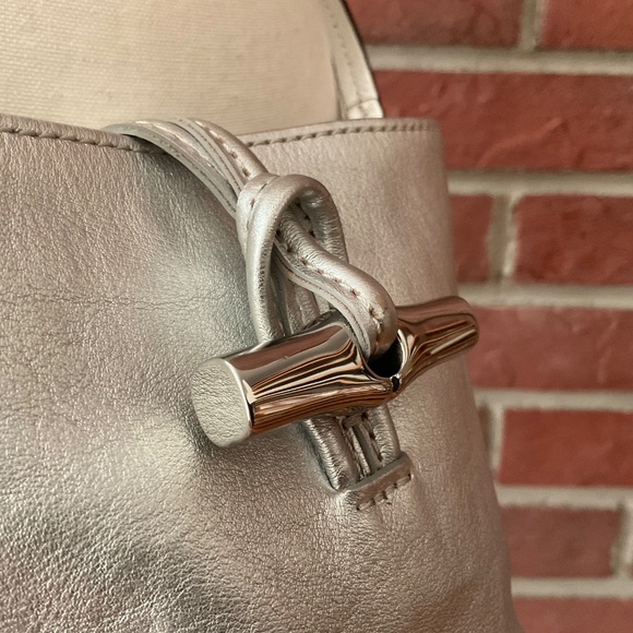 NEW Longchamp Roseau XS Crossbody Silver Leather Bucket Bag NWT - Picture 9 of 16